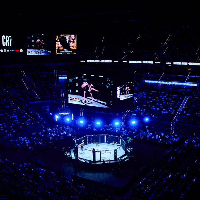 ©German Vidal Ponce